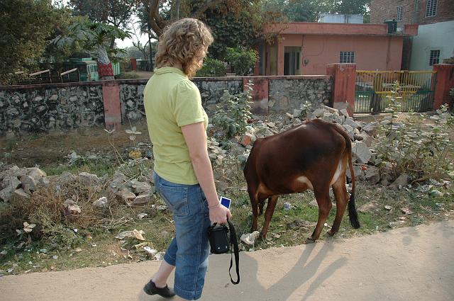 DSC_6482.JPG - Susanne betragter en ko i vejkanten